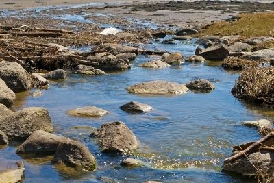 National Water Service Water Runoff In Nature
