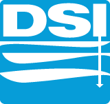 Dsi Logo